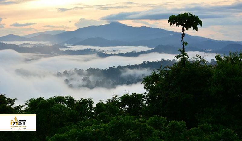 جزیره بورنئو