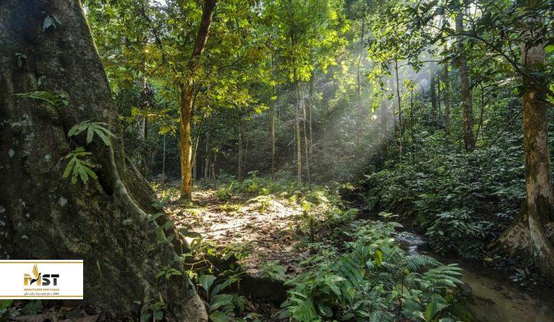  آبشار هفت طبقه کانچینگ 