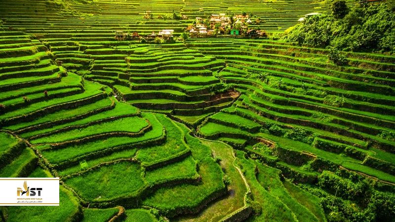 شالیزارهای پلکانی بانائو فیلیپین