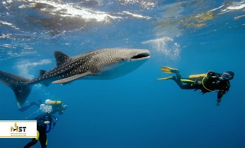 هزینه زندگی و مخارج در فیلیپین