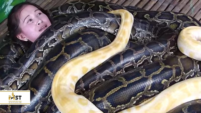 پارک کروکودیل فیلیپین