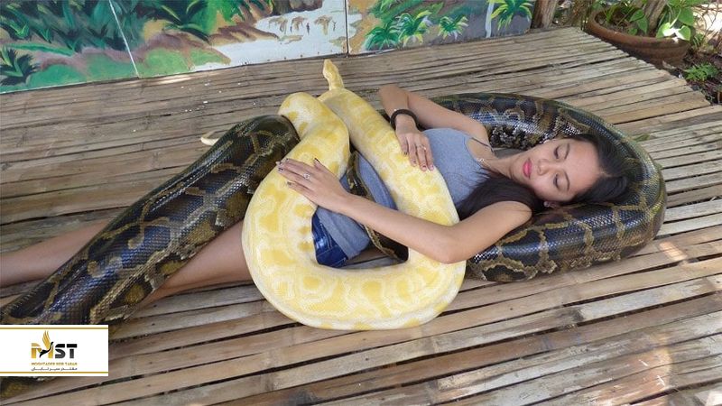 پارک کروکودیل فیلیپین