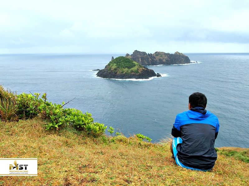 جزیره پالائوی