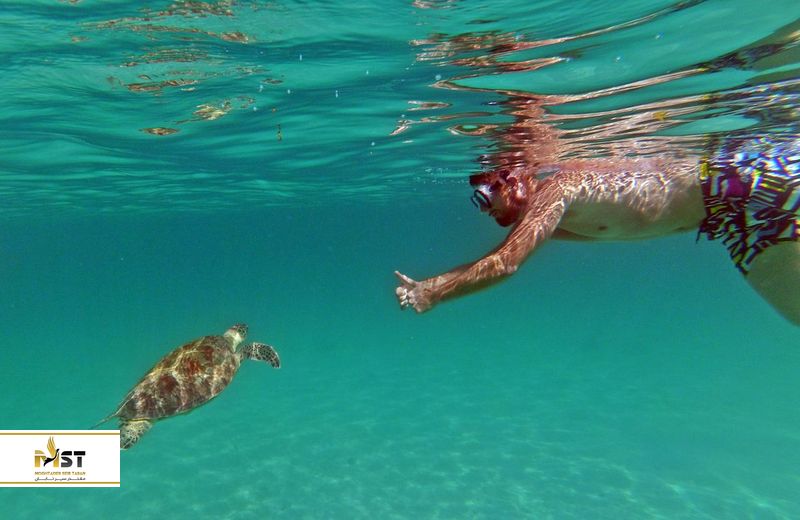 بندر بارتون