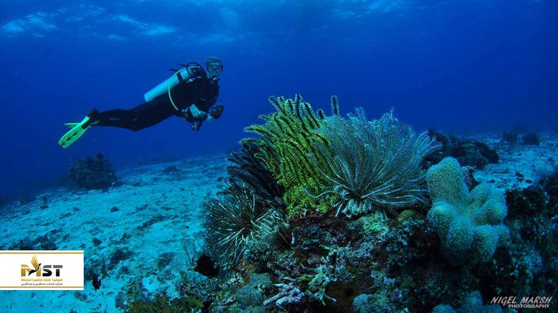 مالاپاسکوآ