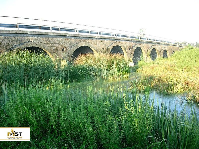 پل ۹ گلوگاه