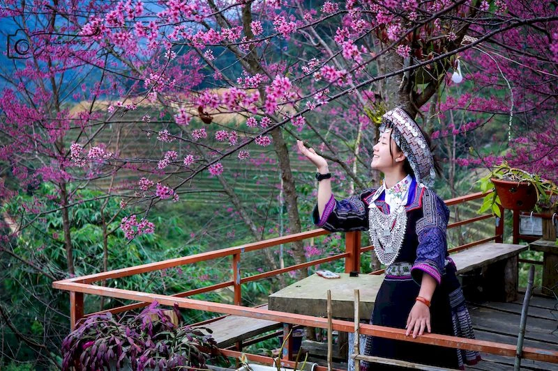 سفر با تور ویتنام چه زمانی بهتر است؛ بهترین فصل سفر به ویتنام