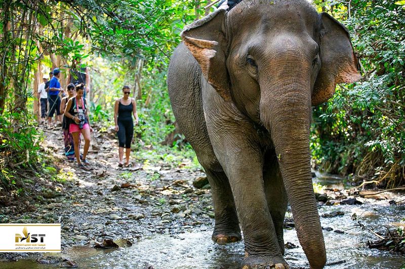 پارک ملی Yok Don