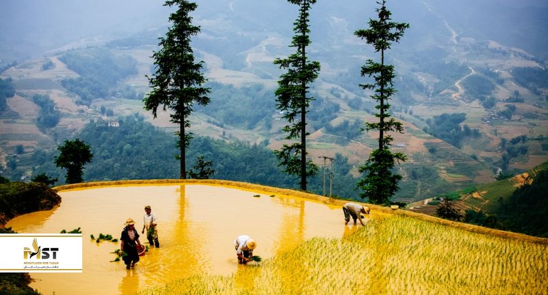 ساپای ویتنام