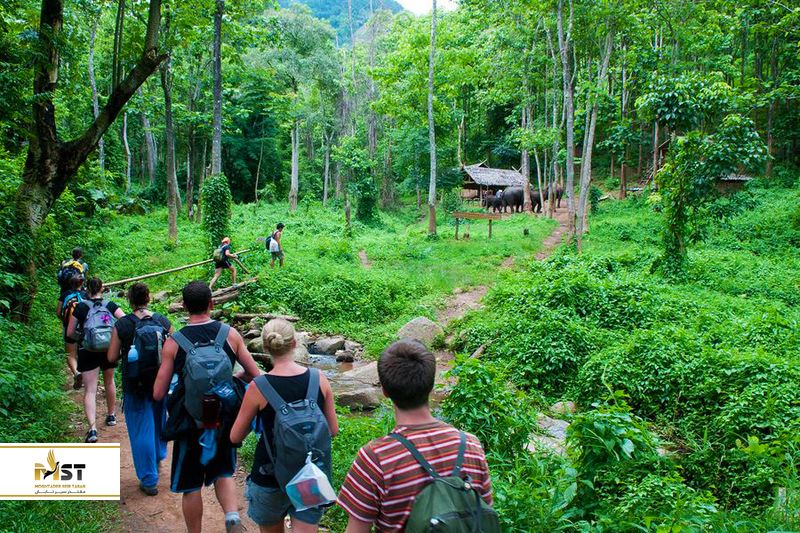 پارک ملی کوک فونگ