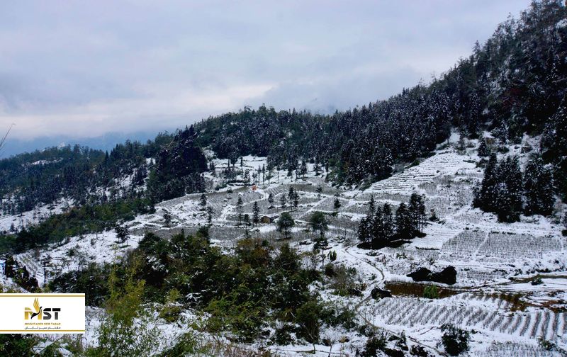 کریسمس در ویتنام