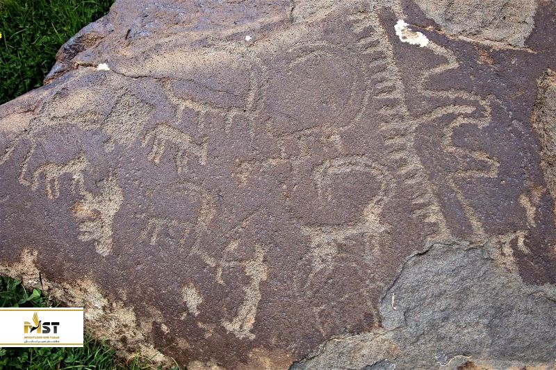  پتروگلیف&zwnj;های