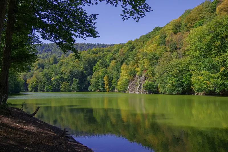 منظره پاییزی دریاچهای در پارک ملی دلیجان و انعکاس درختان رنگارنگ در آب آرام آن