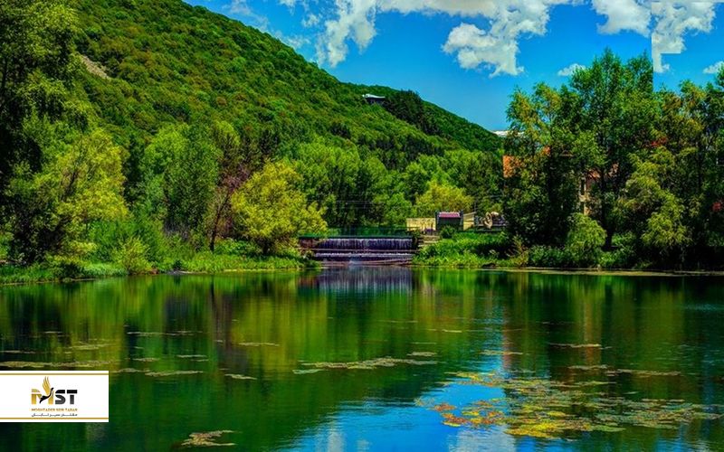 دریاچه سوان