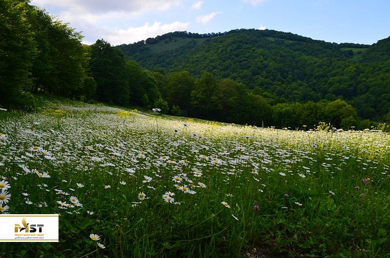 قلعه مانتاش