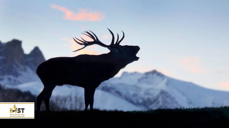 دریاچه گویگل باکو