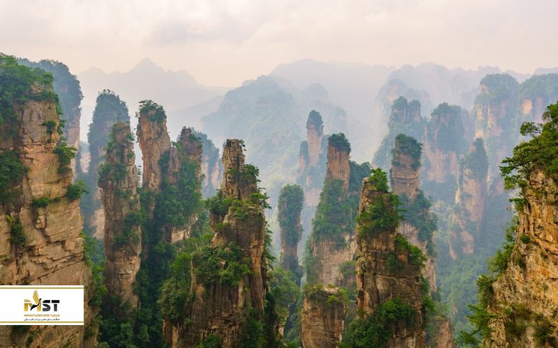 پارک جنگلی Zhangjiajie