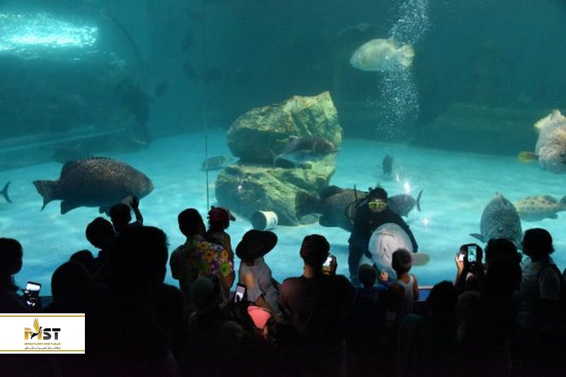  آکواریوم پکن