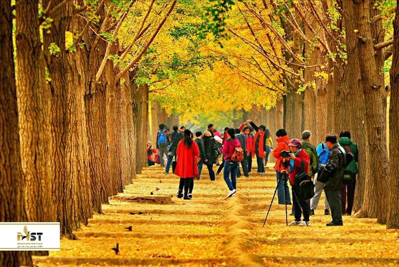 بلوار دیائیوتای گینکگو