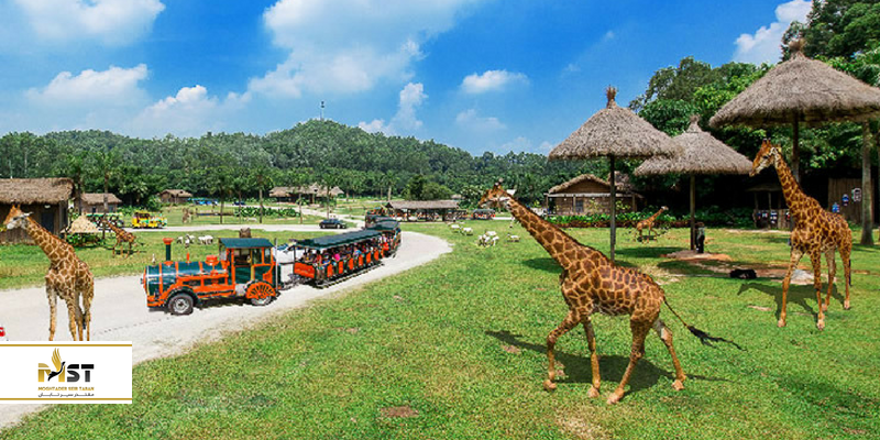 سافاری پارک