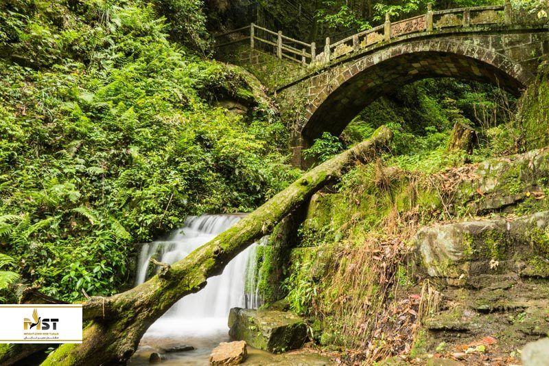 پارک جنگلی ژانگجیاجی