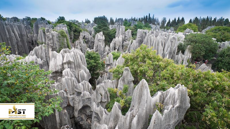 جنگل سنگی شیلین در چین