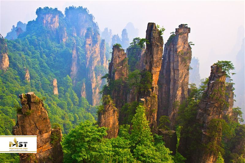  ژانگ جیاجی درچین