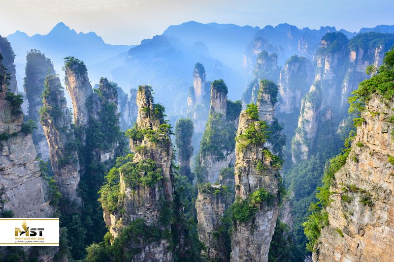 وولینگویان