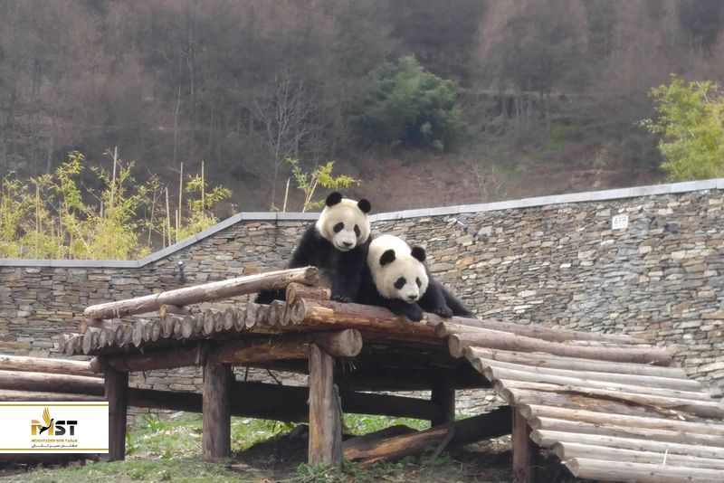 پارک ملی پاندا