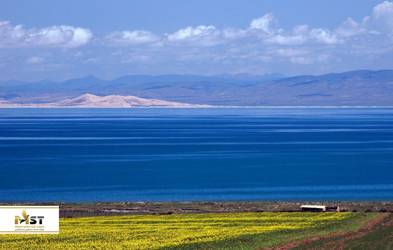 برکه کینگ&zwnj;های