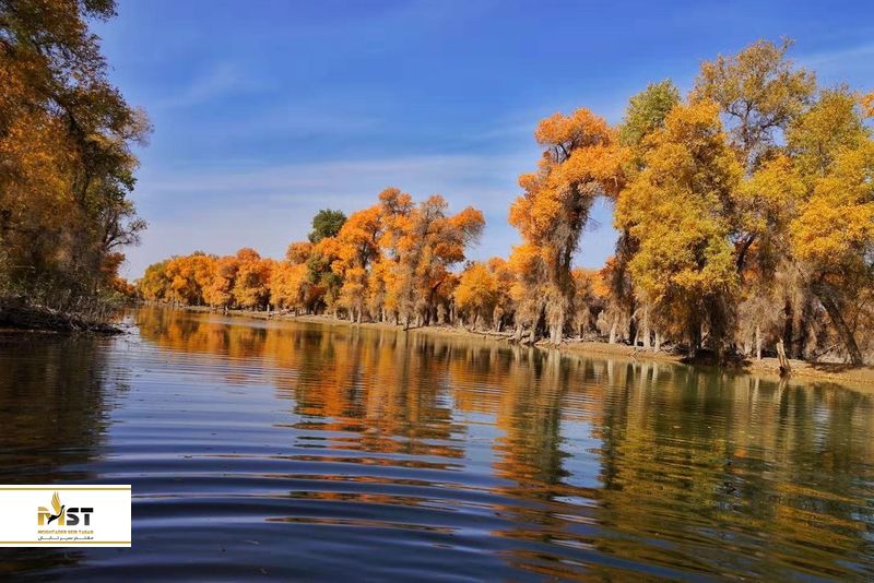 رودخانه تاریم