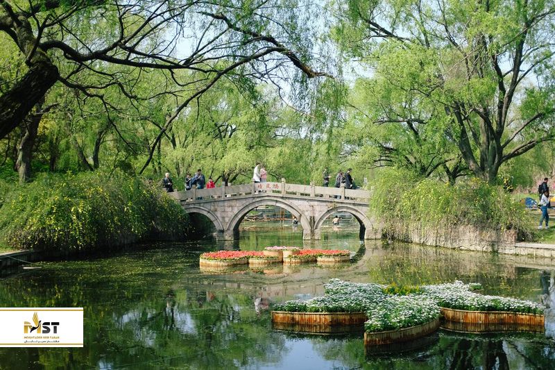 gongqing-forest-park_result