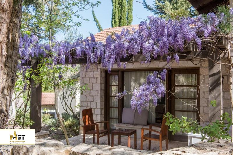 Ayii Anargyri Natural Healing Spa Resort