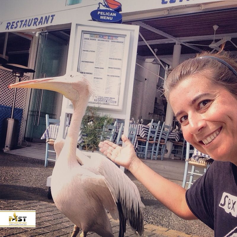 رستوران پلیکان