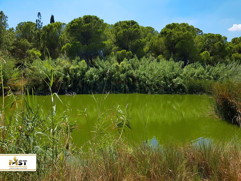 پارک جنگلی زیبای آتالاسا