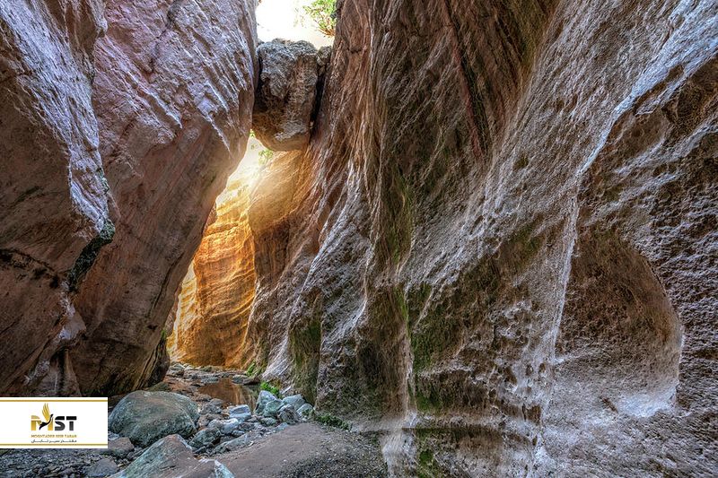 گلوگاه آواکاس