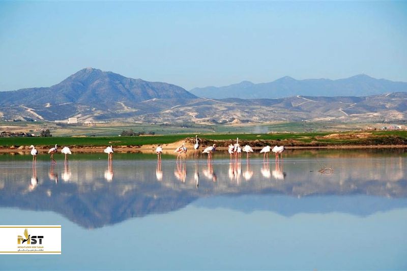 دریاچه&zwnj;های نمک لیماسول