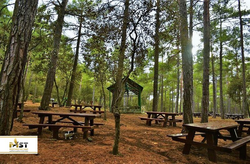 اردوگاه کامپی تو کالوگیرو