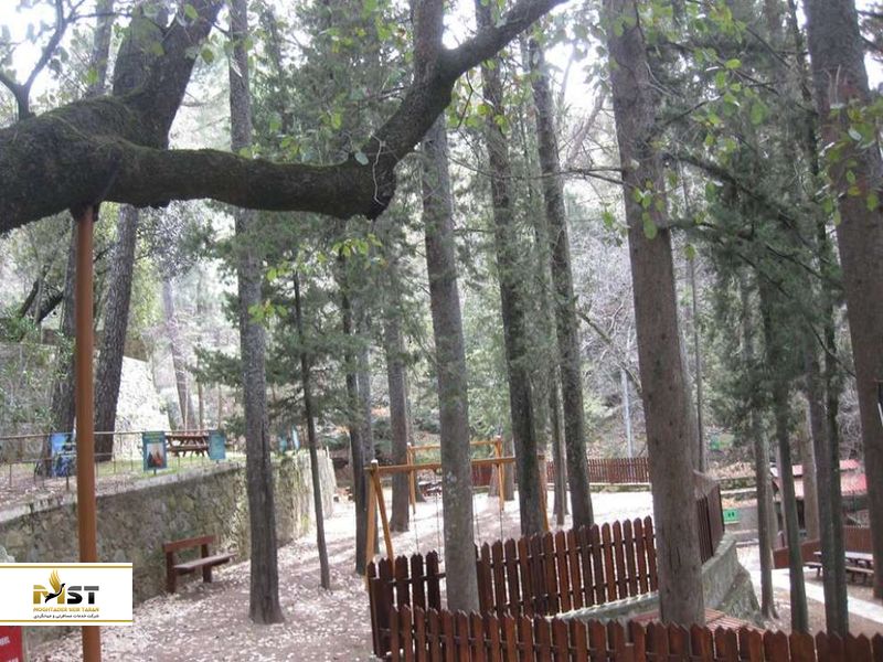 اردوگاه استاوروس تیس پسوکاس