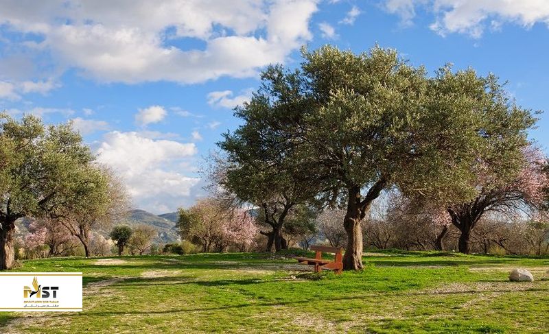 بهار در قبرس