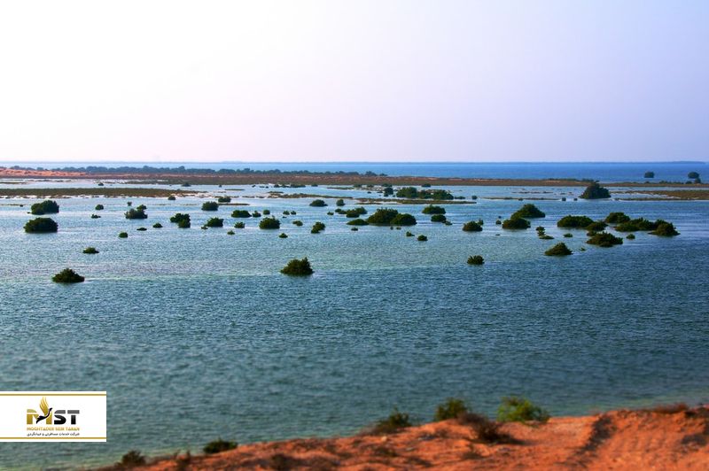 تالاب Umm Al Quwain