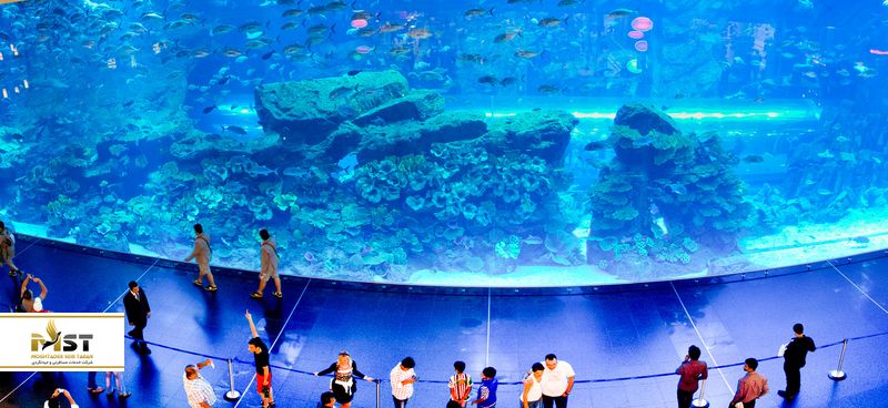 آکواریوم مرکز خرید دبی