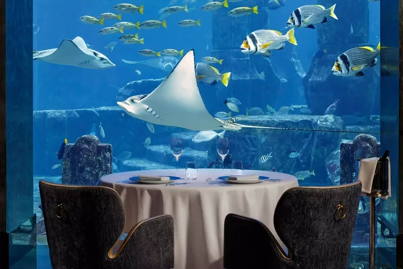 &nbsp;اوسیانو یکی از بهترین رستوران&zwnj;های دبی است و موفق شده است یک ستارۀ میشلن کسب کند. این رستوران از جمله قسمت&zwnj;های زیر آب هتل است و پنجره&zwnj;های بلند دارد که منظره&zwnj;ای از شنای آبزیان را نمایش می&zwnj;دهد. اوسیانو یک رستوران دریایی است.