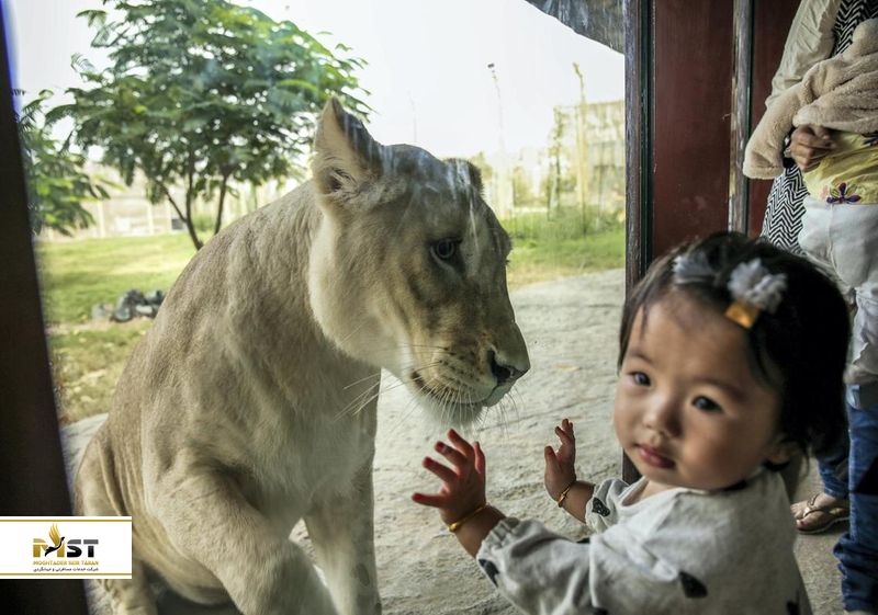 طبیعت سافارس دبی