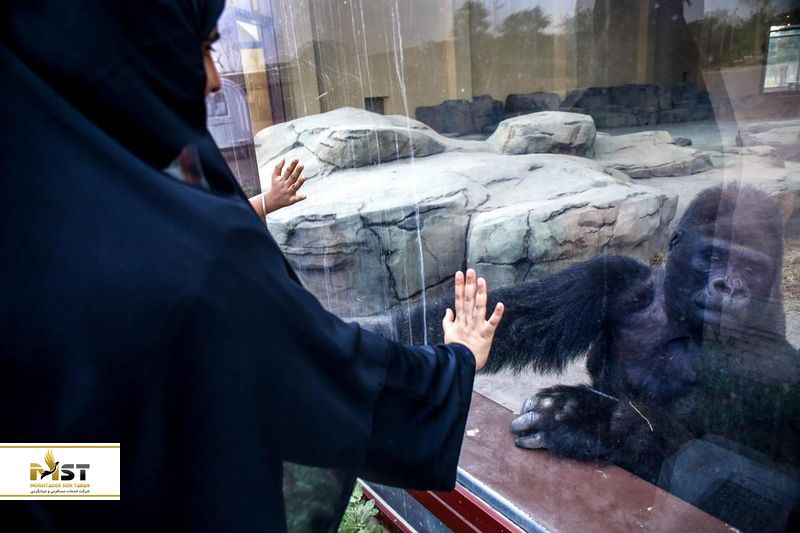 حیولنات سافاری دبی