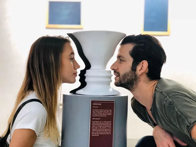 گلدان رابین یک اثر معروف است و نمونه&zwnj;ای از آن در موزۀ&zwnj; توهمات دبی نیز وجود دارد. طراحی این گلدان به شکلی است که در فرورفتگی&zwnj;های آن می&zwnj;توانید طرح نیم&zwnj;رخ چهرۀ انسان را ببینید. به&zwnj;ویژه در گلدانی که در موزۀ ایلوژن قرار دارد این چهره&zwnj;ها نمایان&zwnj;تر هستند.