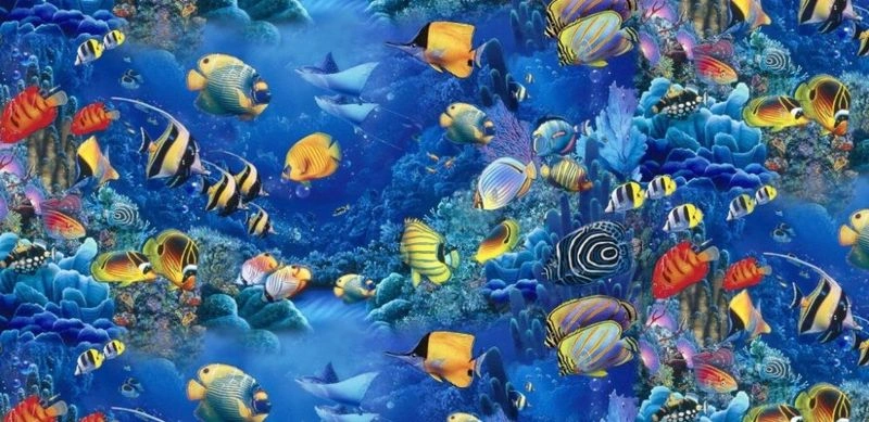 تاریخچه آکواریومهای دبی و اهمیت آنها