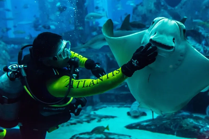 ۲: آکواریوم برج العرب (Burj Al Arab Aquarium)