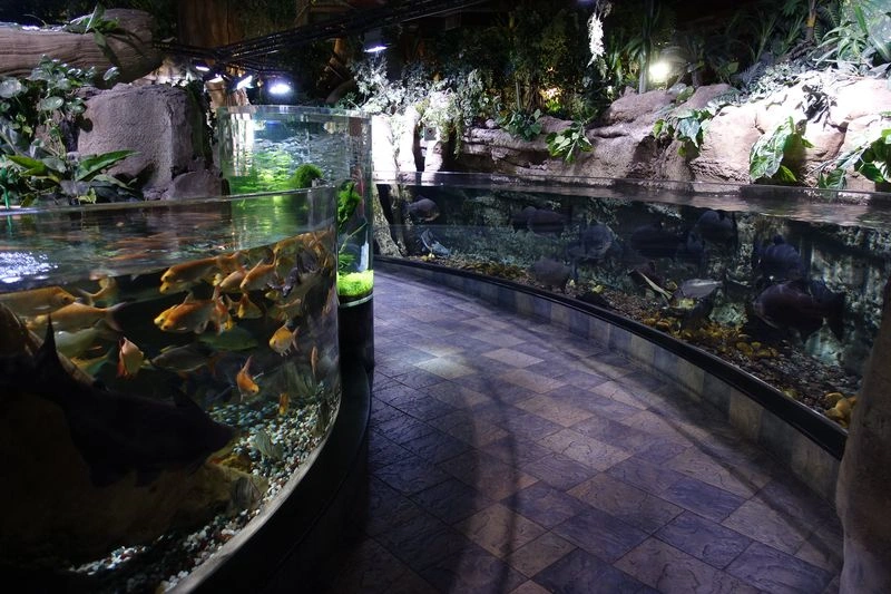 حیوانات خانگی: حضور حیوانات خانگی در آکواریوم مجاز نیست، زیرا محیط زیست دریایی را مختل میکنند. قبل از آوردن حیوانات خانگی خود حتماً سیاستهای هر آکواریوم را مورد بررسی قرار دهید.