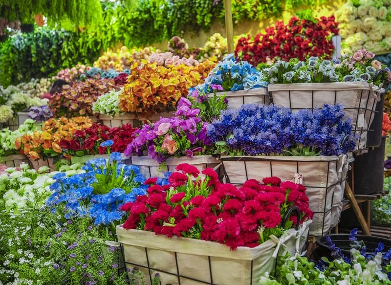 دراگون مارت همچنین یک گزینه قابل&zwnj;اعتماد برای خرید گیاهان است و دانه&zwnj;های مختلف، مواد باغبانی و گیاهان گلدانی را می&zwnj;توانید از این مرکز خرید تهیه کنید.